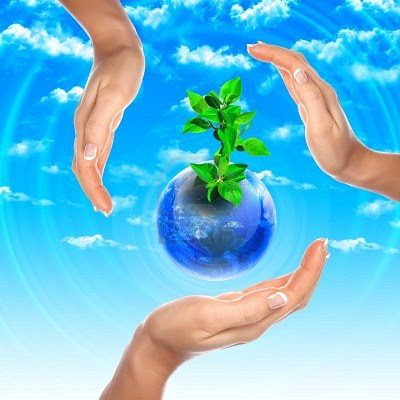 THE ENVIRONMENT (READ)